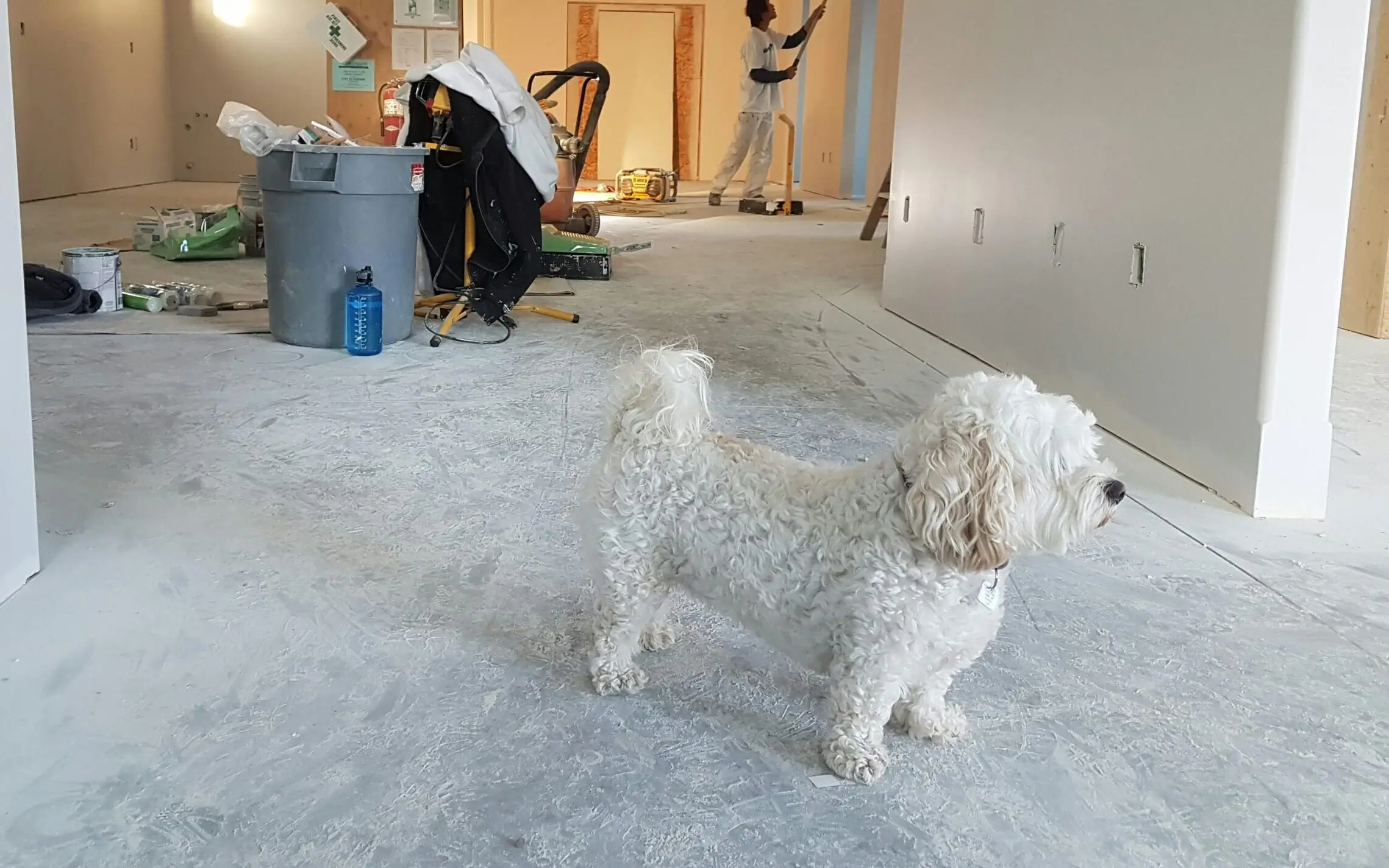Newly built space after post-construction cleaning